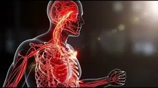 Your Body Is Fighting a War You Never See | The Hidden Immune System