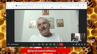 ApisInes Live Andrei Ignatov 2024-09-27 shorts1 #ApisInes #IonelNistor    @ApisInesIonelNistor ​