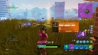 NEW LEGENDARY BURST ASSAULT RIFLE GAMEPLAY PLUS STATS!