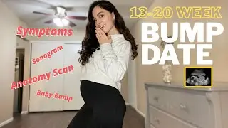 13-20 WEEK PREGNANCY BUMPDATE // Anatomy Scan // Baby Bump
