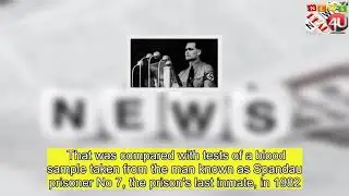 Hitler deputy conspiracy theory quashed