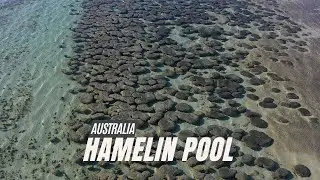 Aerial View of Hamelin Pool, Australia!