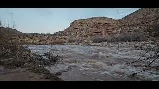 Virgin River rushing through Virgin River Canyon, Beaver Dam Wilderness,  Littlefield Arizona.