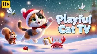 Playful Cat TV &ndash; Cat Games That Spark Energy in Every Curious Whisker&rsquo;s Leap