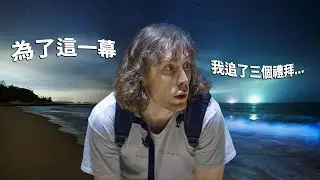 Chasing blue tears in Kinmen  🌊  金門藍眼淚