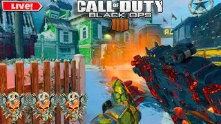 Road To Level 1000 (BO4)
