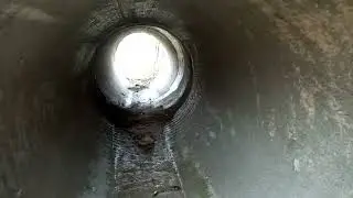 Лес
