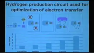 EMBC 2011-Program-Systems in Synthetic Biology (Part I)-Pamela A.
