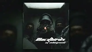 [FREE] Blackbirds - Underground Loopkit (Len, Fimiguerrero, EsdeeKid, Rico Ace)