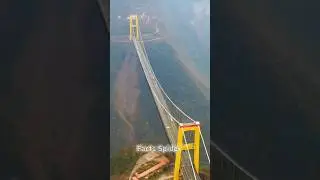Duniya ke sabse Katarina Bridge #facts #dilchaspfacts #amazingfacts #viral #tremendousfacts #shorts