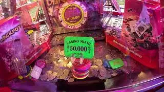 Pousse pièces MIAMI 5/5 avec les points obtenus du jour.