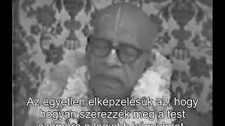 Prabhupada 0968 A nyugati filoz&oacute;fia a hedonizmus. &bdquo;Egy&eacute;l, igy&aacute;l, h&aacute;zasodj &eacute;s &eacute;lvezd!&rdquo;