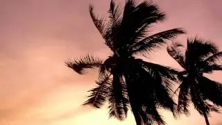 Nujabes - Aruarian Dance (lowered pitch edit)