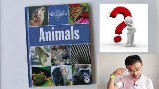 猜动物🐂🐘🐒 - Guess Animals - Adivina los animales (Comprehensible Input Chinese)