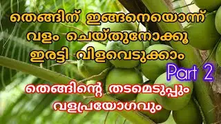 തെങ്ങിലെ വിളവ് ഇരട്ടിയാക്കാം ശരിയായ വളപ്രയോഗത്തിലൂടെ | fertilizer application in coconut