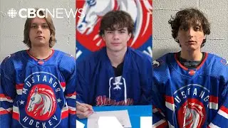 Reaction pours in after 3 junior hockey players killed in Alberta crash