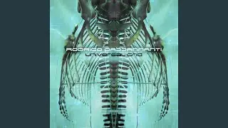 Enter Data