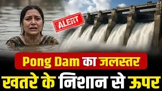 Pong Dam Live News: जलस्तर खतरे के निशान से ऊपर