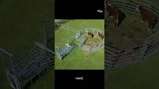 Lifestyle Cattle Yards