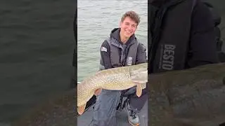 Gewinnen wir dieses 50.000&euro; Angelturnier?! #harzfishing #hecht #hechtangeln #bigfish