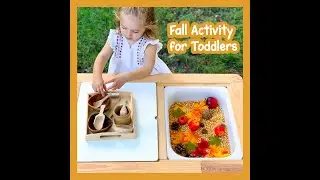Fall Sensory Bin Activity for Toddlers