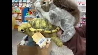 hand puppets toxic relationship season 1