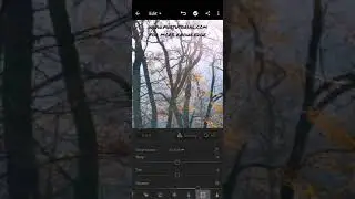 Editing in Mobile Lightroom - 2