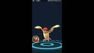 My Pok&eacute;mon GO Stream
