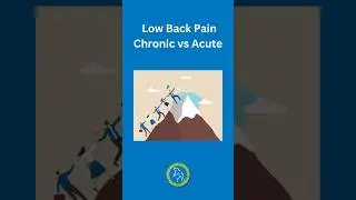 Low Back Pain Chronic vs Acute