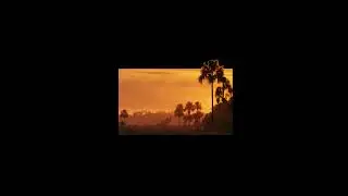 [FREE FOR PROFIT] Afro Trap Type Beat &ndash; &lsquo;Fuego&rsquo;
