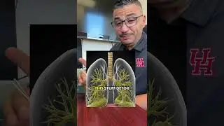 Mullein lung detox tea clears mucus fast, supports easier breathing, perfect for smokers #mulleintea