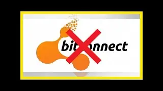 The Collapse of Bitconnect