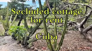 🇨🇺Private, secluded retreat. Cuba.