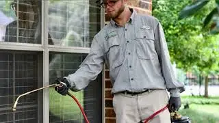 Expert Local Exterminator & Eco-Friendly Pest Control Services in Frisco, Plano, McKinney