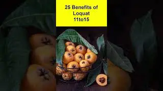 Benefits of Loquat -#Loquat #healthcare #shots #short #youtubeshorts #shortsvideo #Fruits