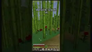 KDYŽ VT&Iacute;PEK OTEVŘE NĚCO #twitch #minecraft #prank #memes
