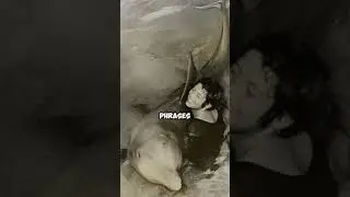 A Dolphin&rsquo;s Unforgettable Affection: Margaret & Peter 🐬💖