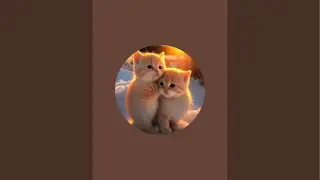 My Uggu Baby is live