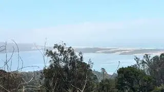 Birding Tips - Morro Bay Area 