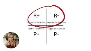 NePoPo&reg; Reinforcement and Operant Conditioning