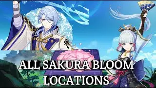 All Sakura Bloom Locations - Genshin Impact