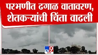 Parbhani Weather | परभणीत ढगाळ वातावरण, सोयाबीनवरील अळीच्या प्रादुर्भावामुळे शेतकऱ्यांची चिंता वाढली