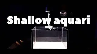 Simple Aquascape for shallow aquarium