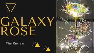 Review Galaxy Rose