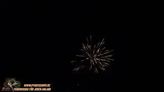 Benefiz-Feuerwerk für die Flutopfer von Dernau (Hubertushof Fährbrück) made by www.pyrotechnix.de