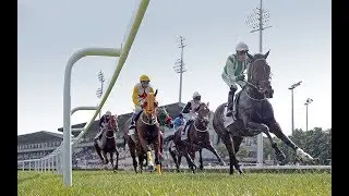 Sait Akson Koşusu (Grup - 2) 04/06/2017