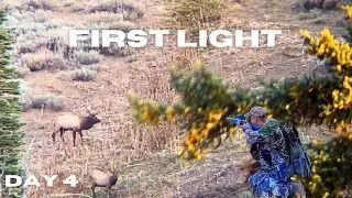 Washington State Elk Hunt 2024 ( That Happened Quick )