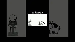 Fast vs slow metabolism #gym #animation #meme