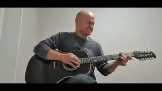 Александр Розенбаум - Утиная охота | Кавер
