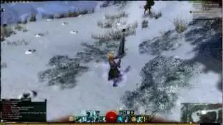 GW2 Killer White Rabbit
